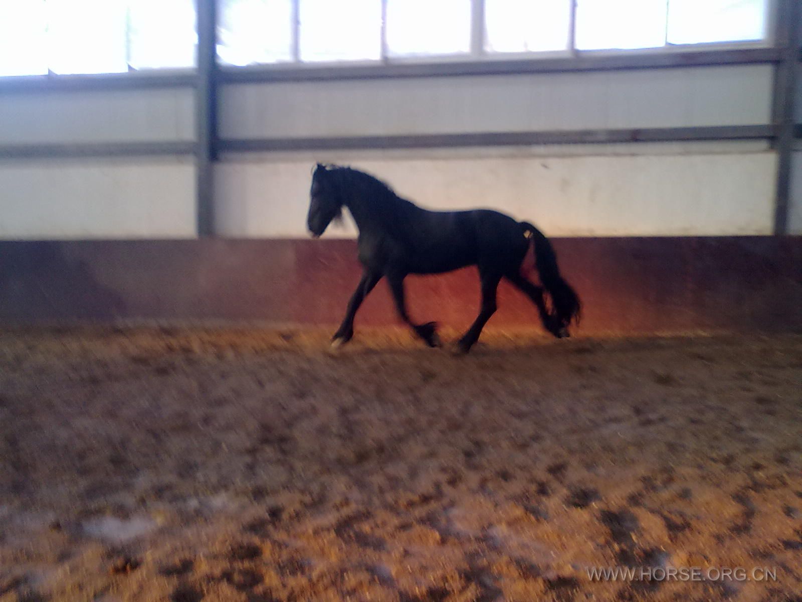 20111123314.jpg