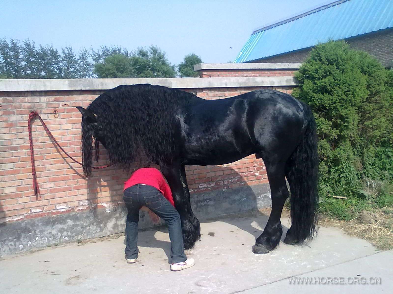 20120528022.jpg