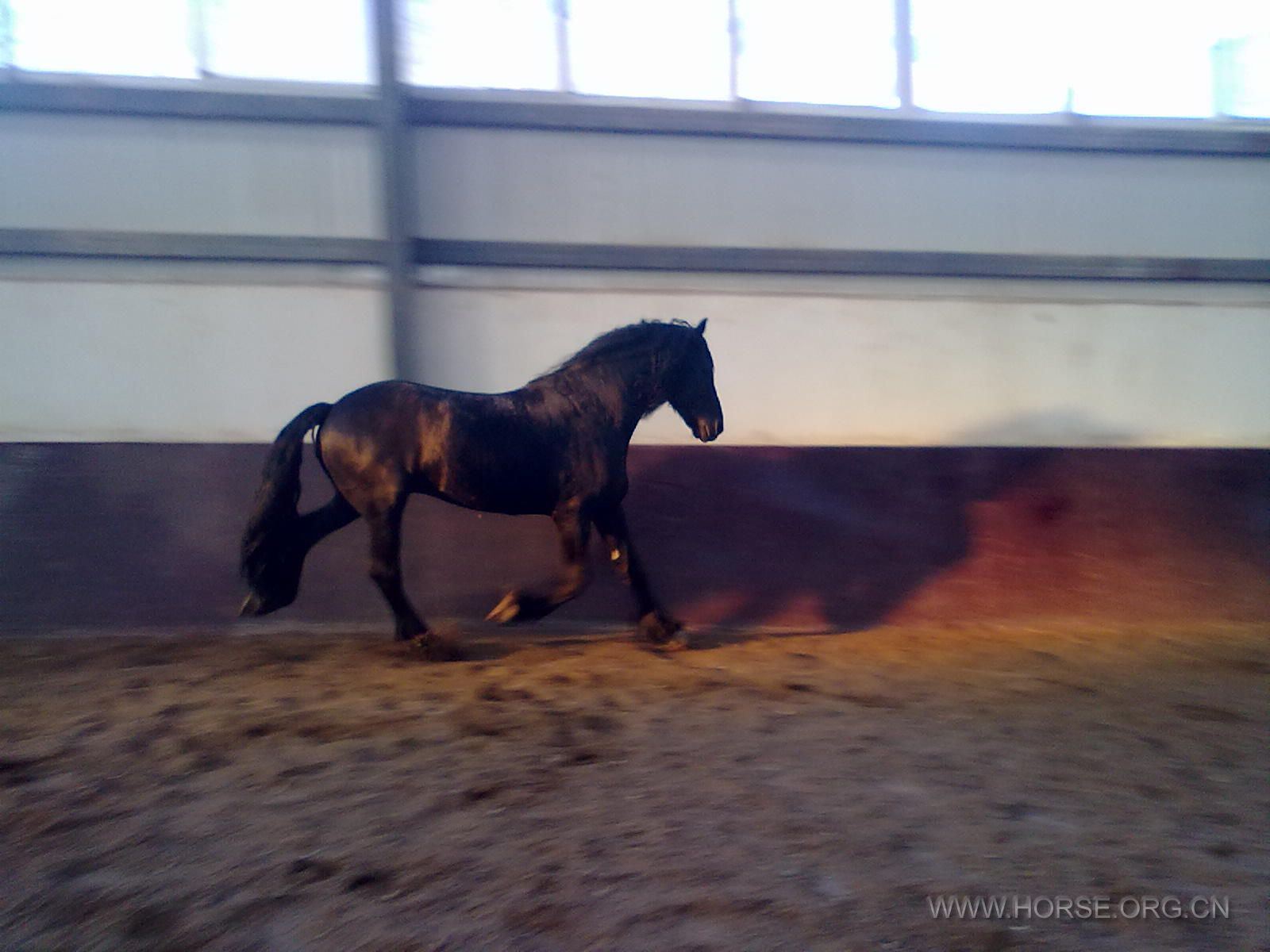 20111123315.jpg