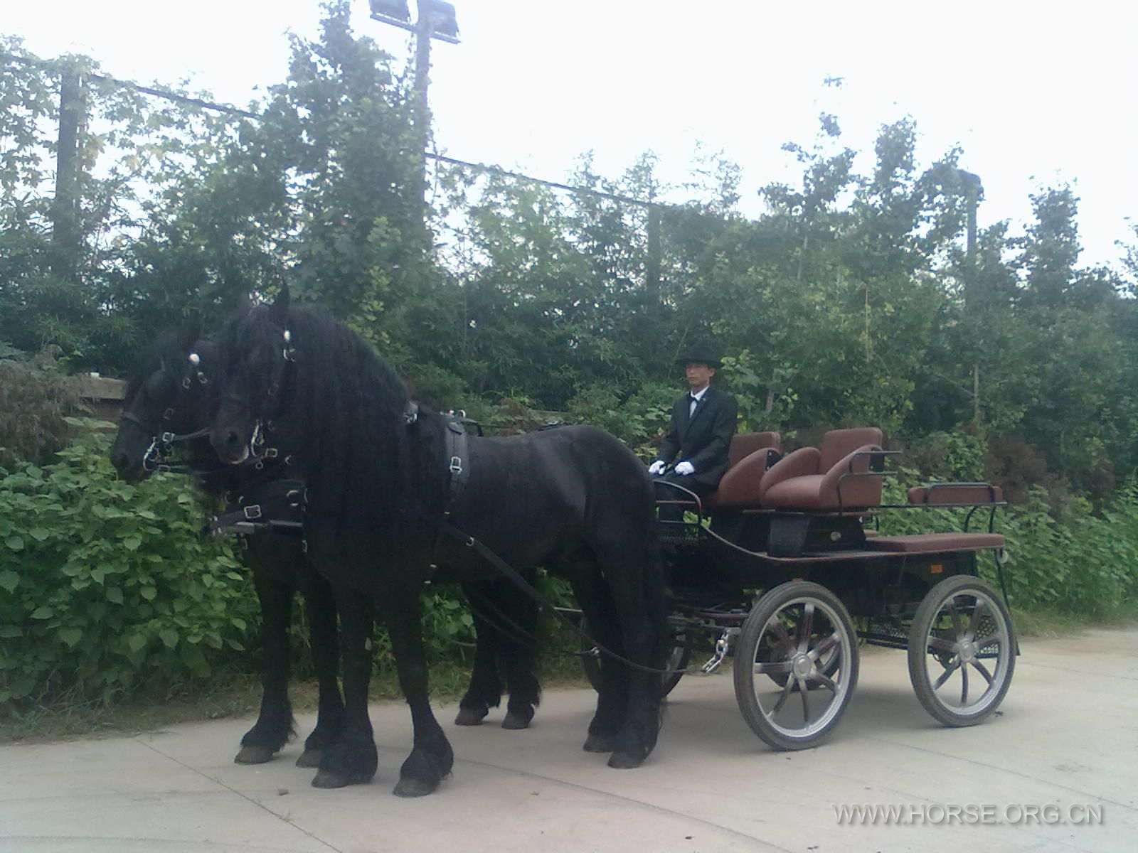 20120818084.jpg