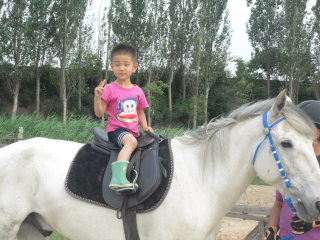 DSC00598.png