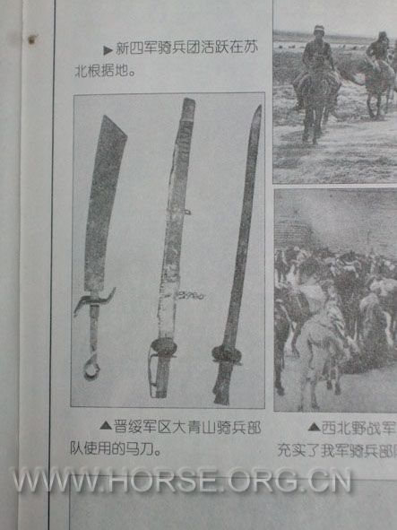 rvpq_ALIM1519.jpg