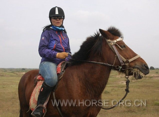 QQ图片20131214221258.jpg
