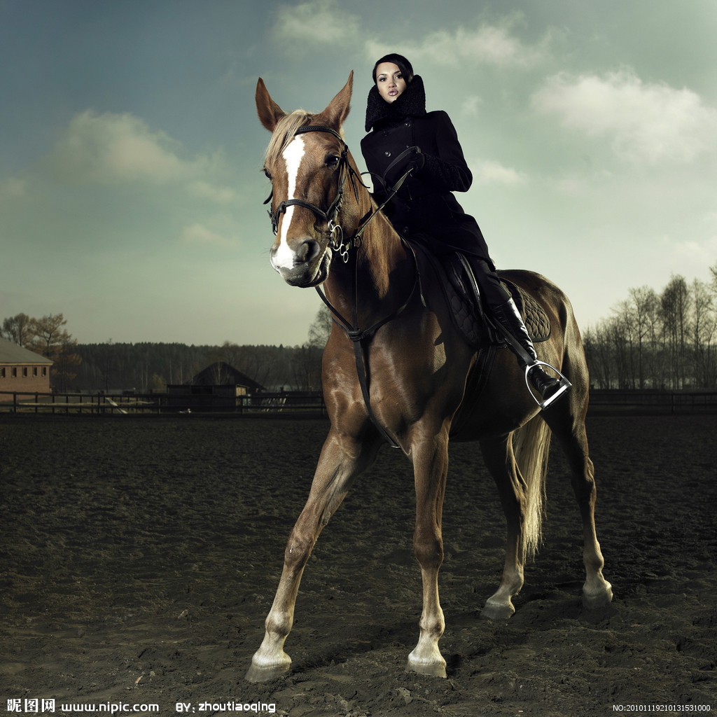 <em>美女骑马</em>奔跑- <em>美女骑马</em>- 中国马术网