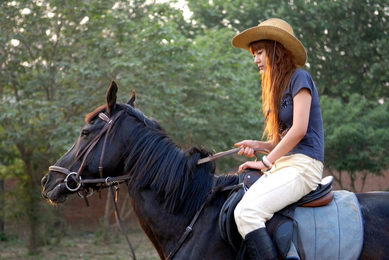 西部风<em>美女</em>骑马 - <em>美女</em>骑马 - 中国<em>马术</em>网