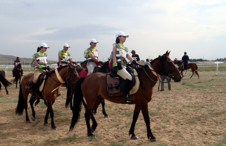 我和豆豆——强健的耐力马