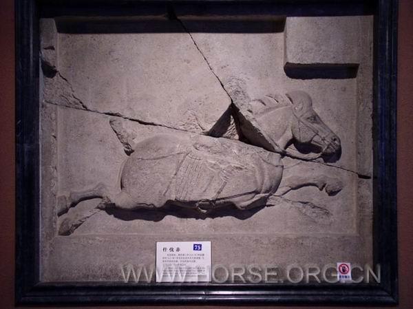 【中国马艺术】古代雕塑·唐