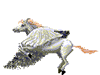 我的相册