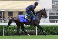 2012 HKIR