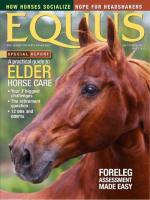 Equus