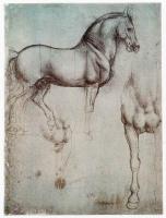 【西方马艺术】绘画·古代绘画·达芬奇