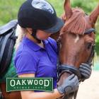 爱马*忠言逆耳*