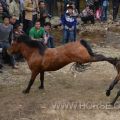 广西融水斗马与苗族坡会2014