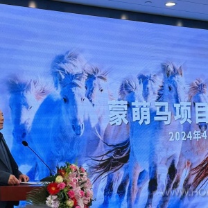 为国产马找出路：锡盟“蒙萌马”品牌培育座谈会在京召开