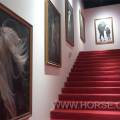 参观海澜之家马术博物馆-据称为亚洲最大 ...