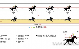 骑射竞赛规则（2025修订版）-第七章 竞赛项目与赛制
