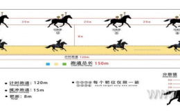 竞赛规程 ｜ 2025年全国骑射巡回赛总决赛