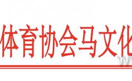 关于马文化运动委员会届内增补工作负责人及骑射运动中心调整领导班子的公告