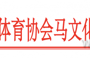 关于马文化运动委员会届内增补工作负责人及骑射运动中心调整领导班子的公告