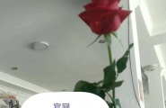 人民日报[喂ML6688993 ]腾龙公司网投游戏娱乐注册官网百度...