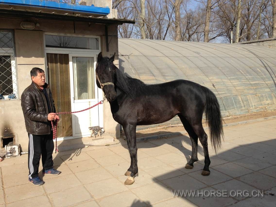 QQ图片20140221141339.jpg