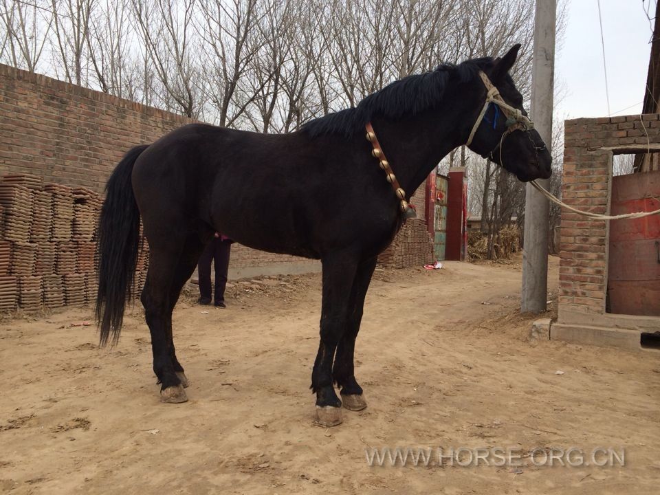 QQ图片20140227224624.jpg