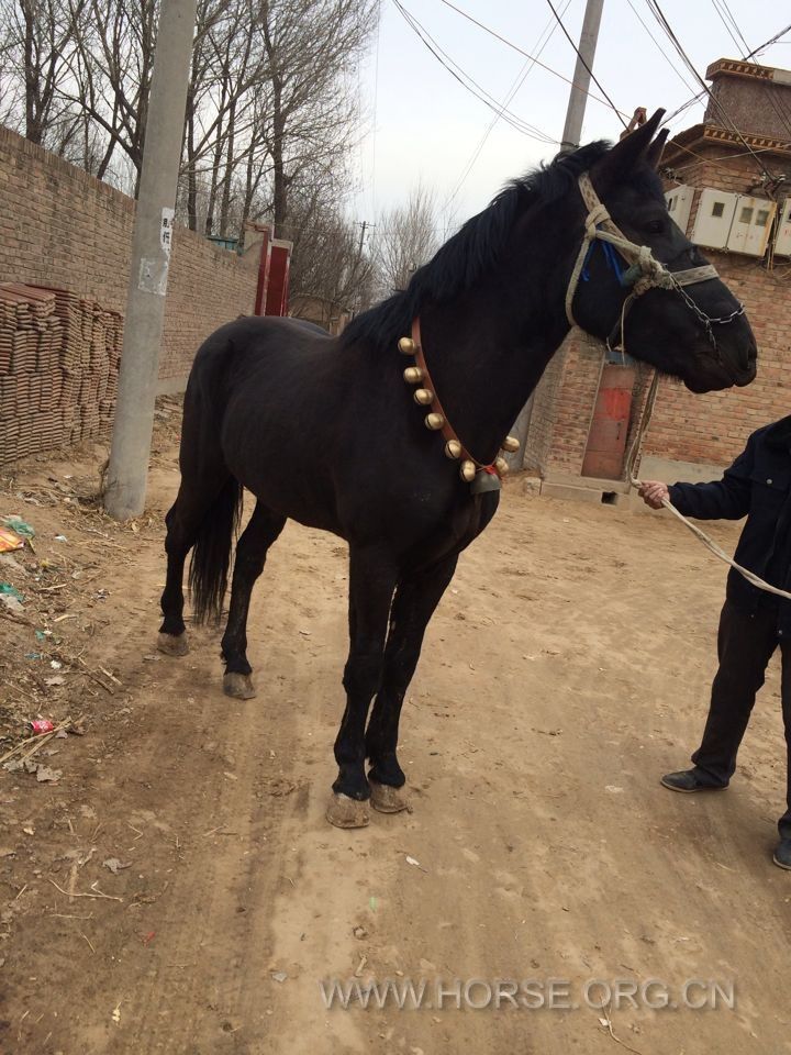 QQ图片20140227224634.jpg