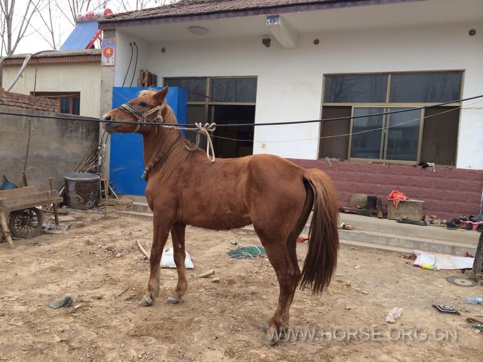 QQ图片20140227225055.jpg