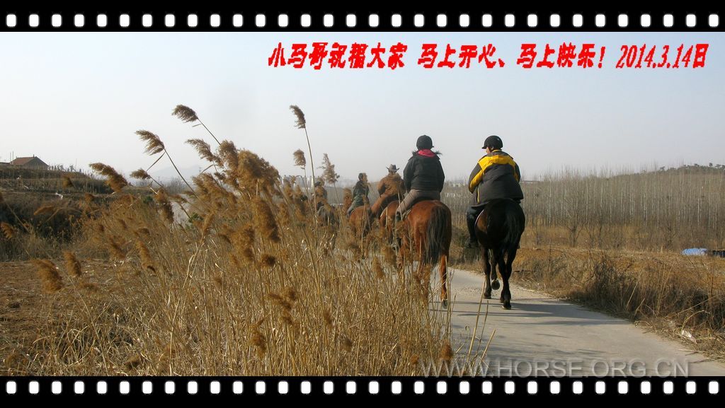 IMG_9442.jpg