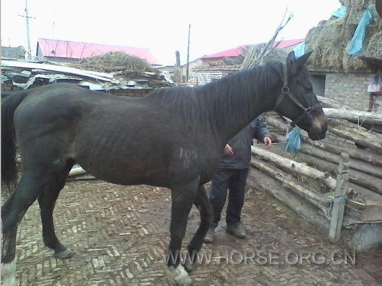 QQ图片20140328002406.jpg