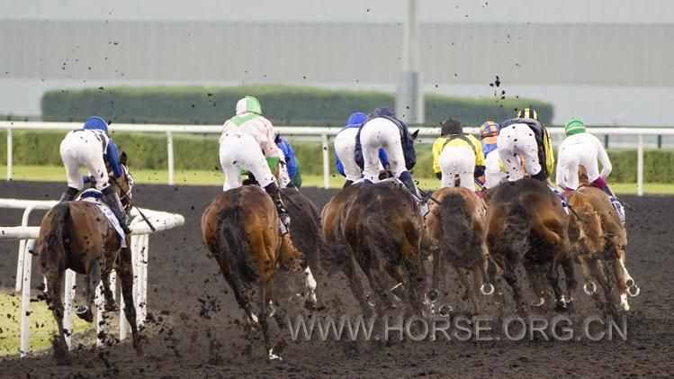 2014-03-29T152108Z_160593018_GM1EA3T1SAA01_RTRMADP_3_HORSERACING-DUBAI.JPG