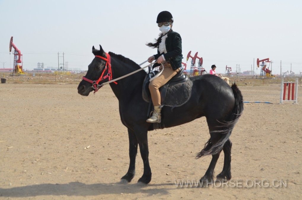 QQ图片20140507203524.jpg
