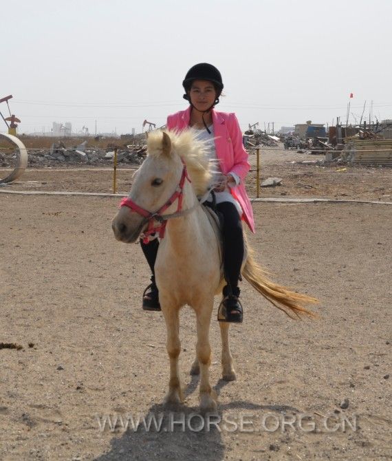 QQ图片20140508200715.jpg