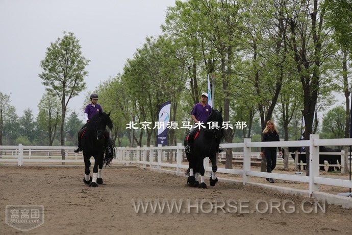 学员骑马体验中