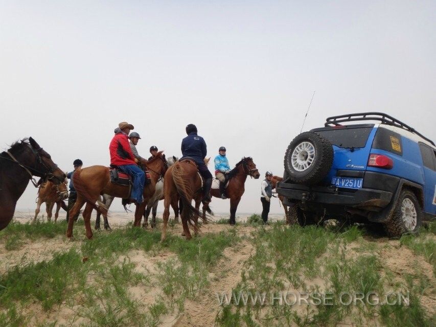 QQ图片20140604094259.jpg