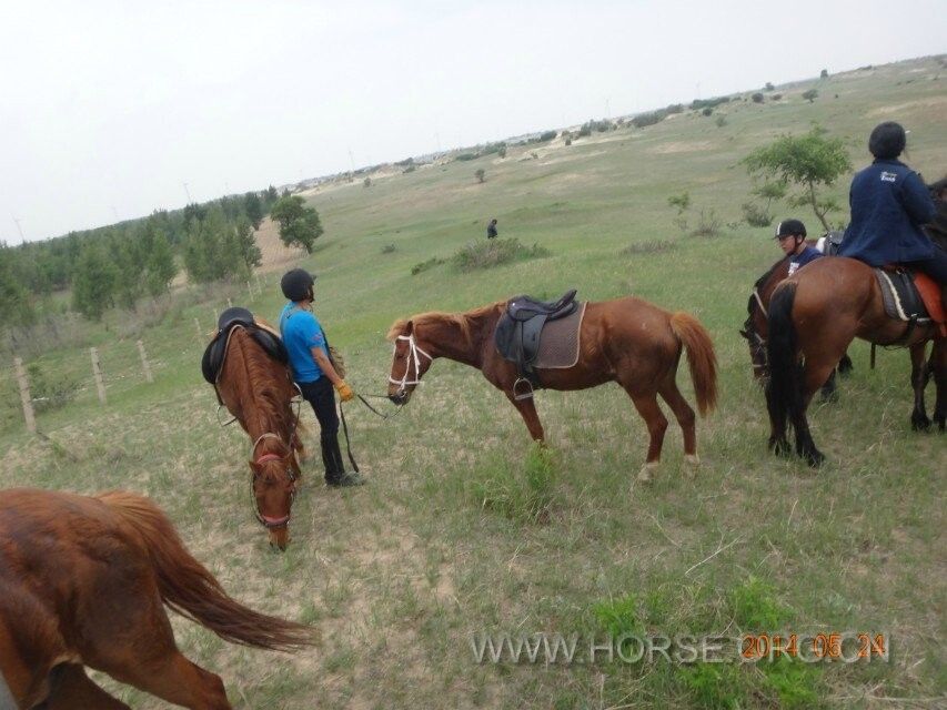 QQ图片20140604094518.jpg