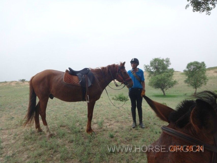 QQ图片20140604094653.jpg