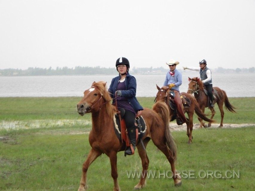 QQ图片20140604094947.jpg