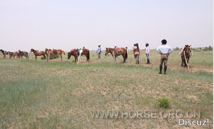 QQ图片20140604012447.jpg