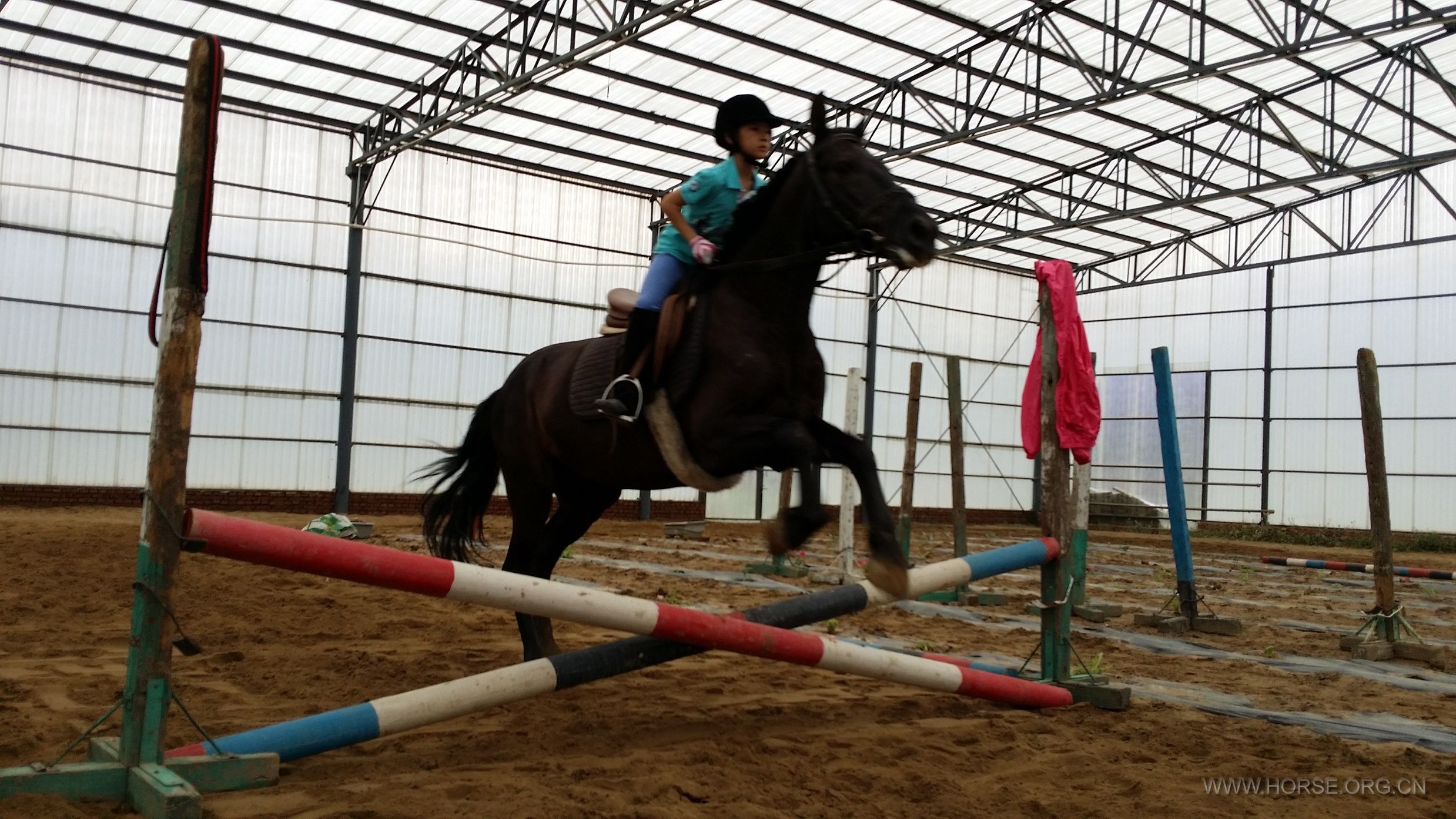 20140602_082708.jpg