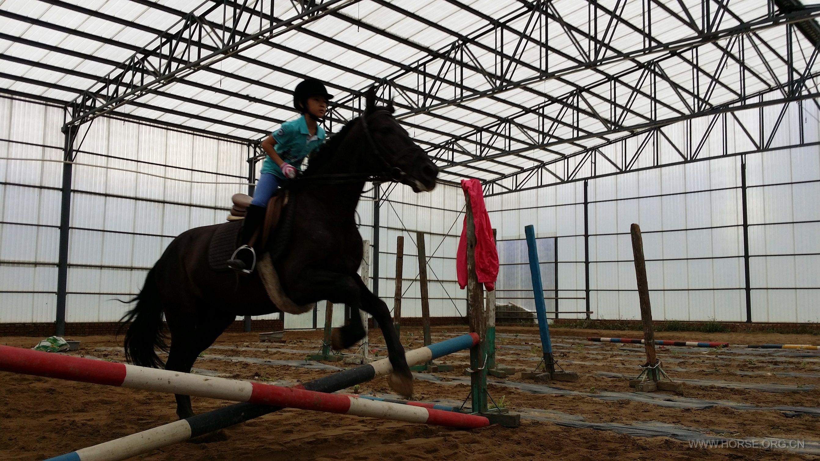 20140602_082745.jpg