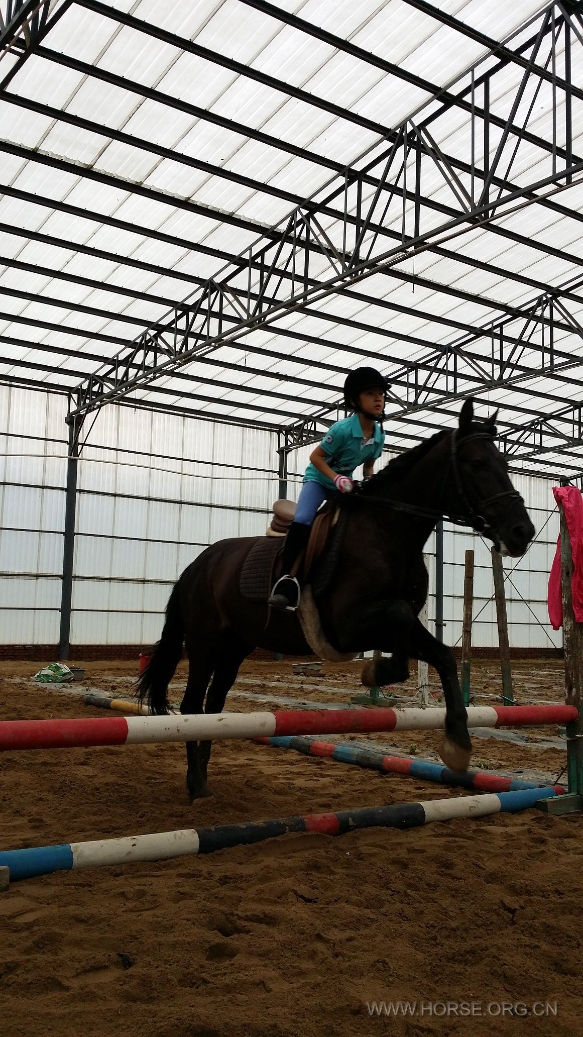 20140602_083323-1.jpg