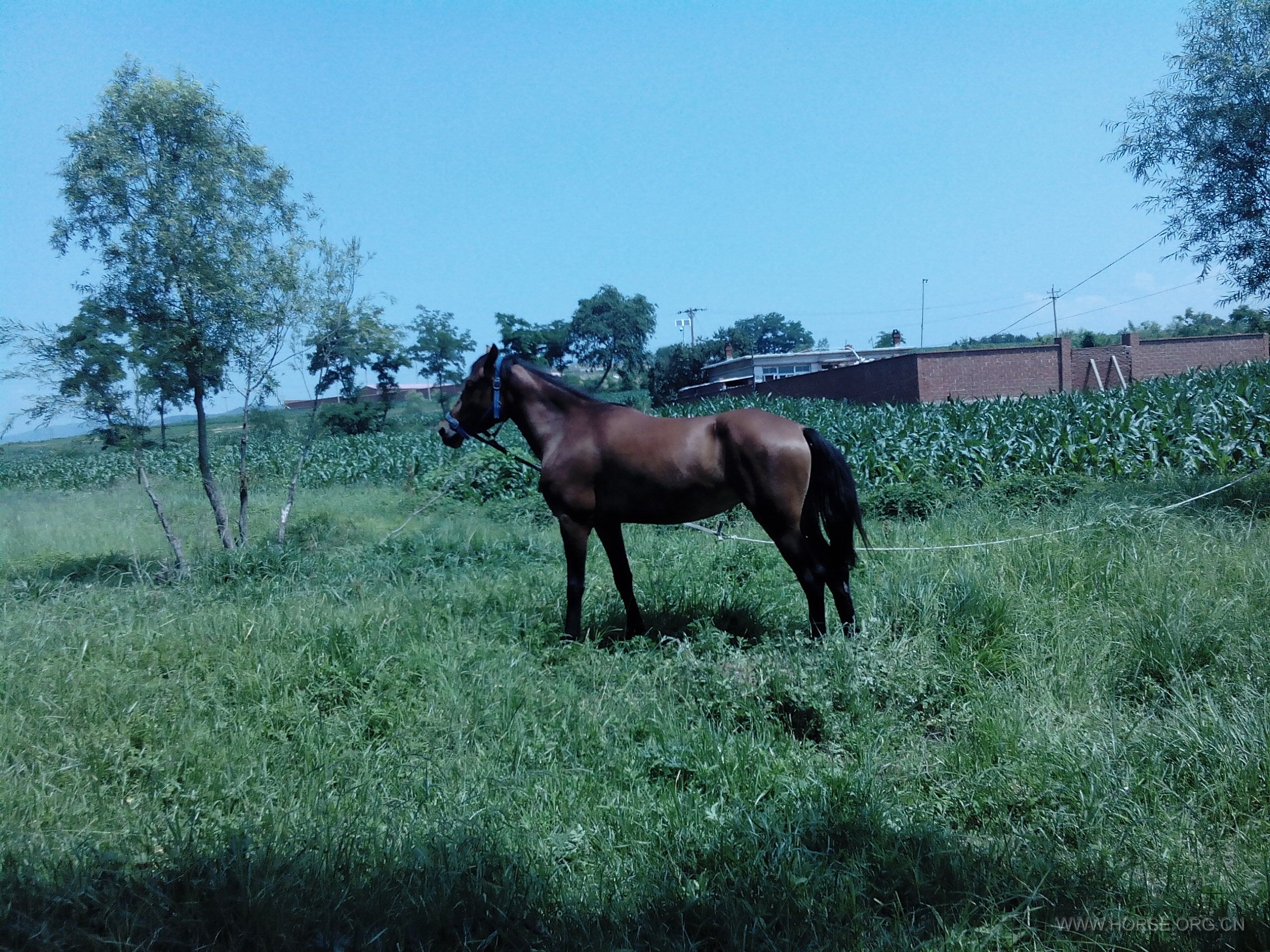 IMG20140623104243.jpg