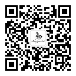 qrcode_for_gh_447e1aa9b5ed_258.jpg