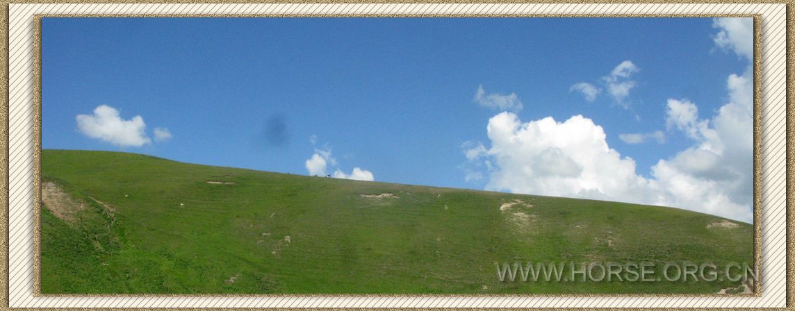 IMG_9779.jpg