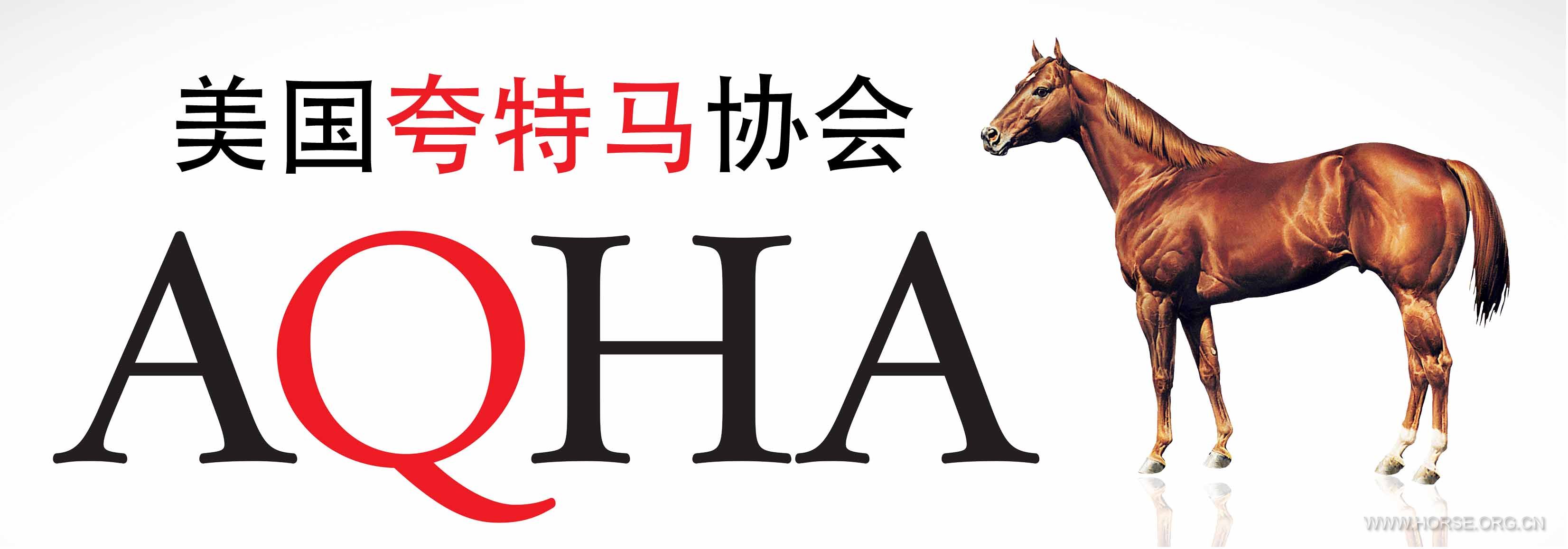 AQHA LOGO3.jpeg