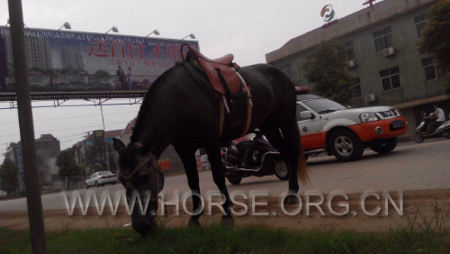 IMG_20140725_171111.jpg