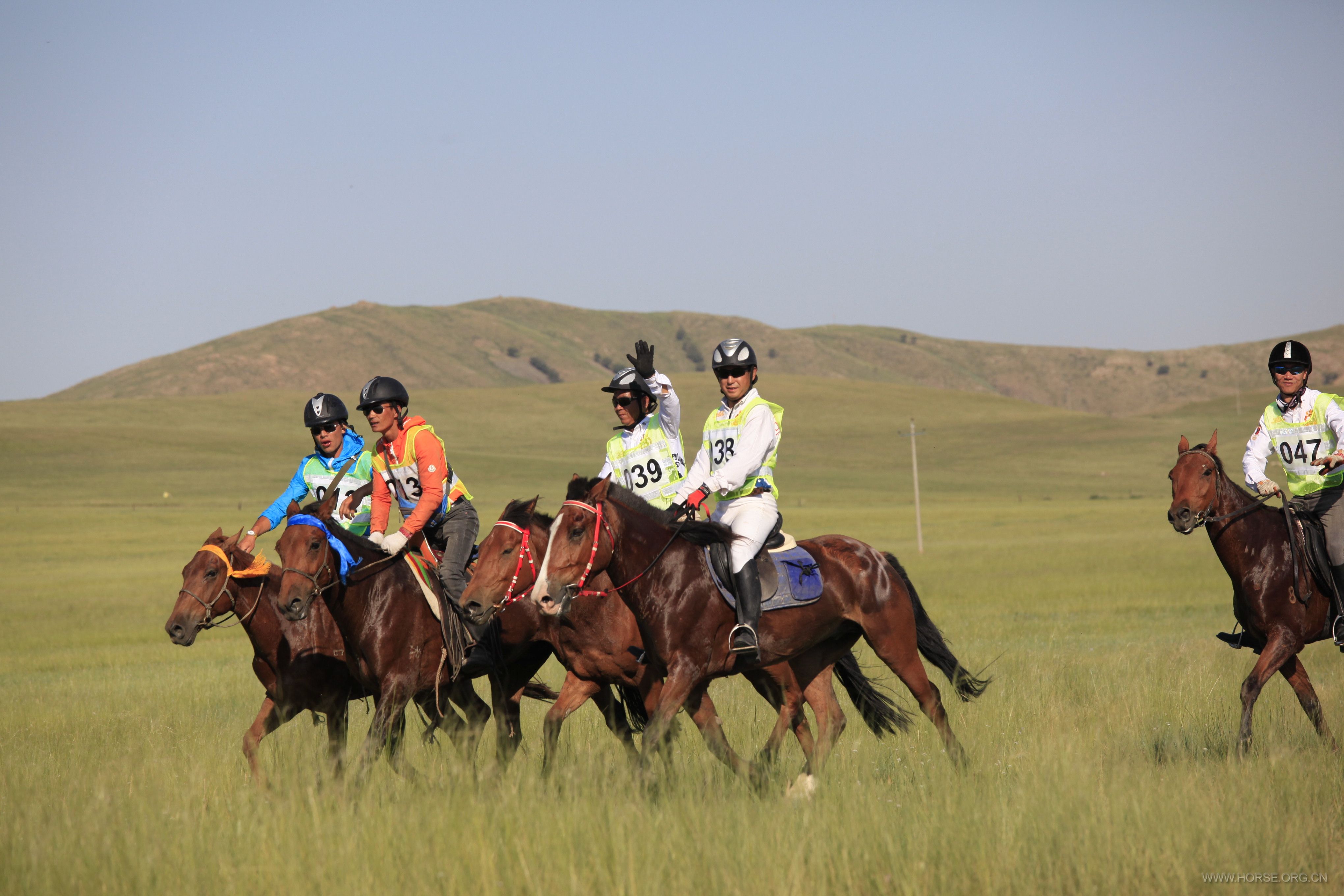 _MG_9069.JPG