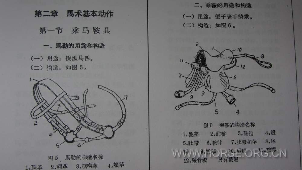 1964年4月驭术教范马具图