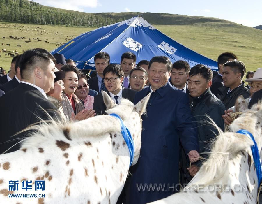 习总获赠豹花马